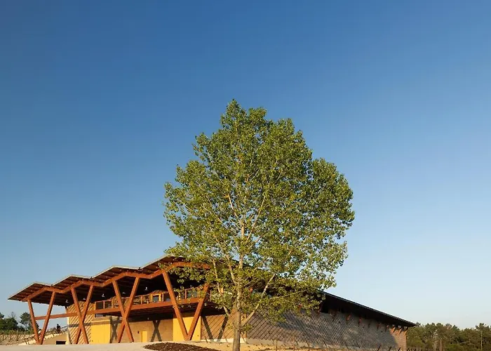 Taboadella Casa Villae 1255 - Relais & Chateaux カントリーハウス ペナルヴァ・ド・カステロ