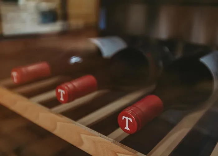 Taboadella Casa Villae 1255 - Relais & Chateaux カントリーハウス ペナルヴァ・ド・カステロ